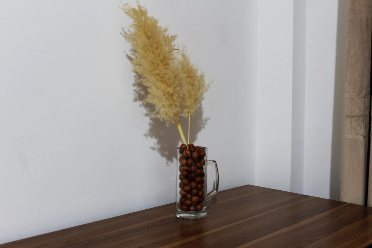 Apartament Casa Sirius San Pedro De Atacama Zewnętrze zdjęcie